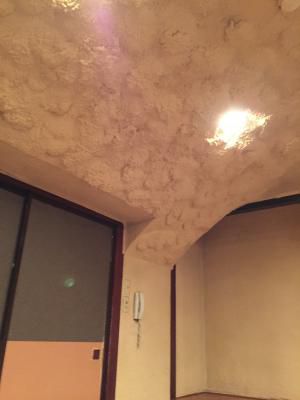 新しい発想
