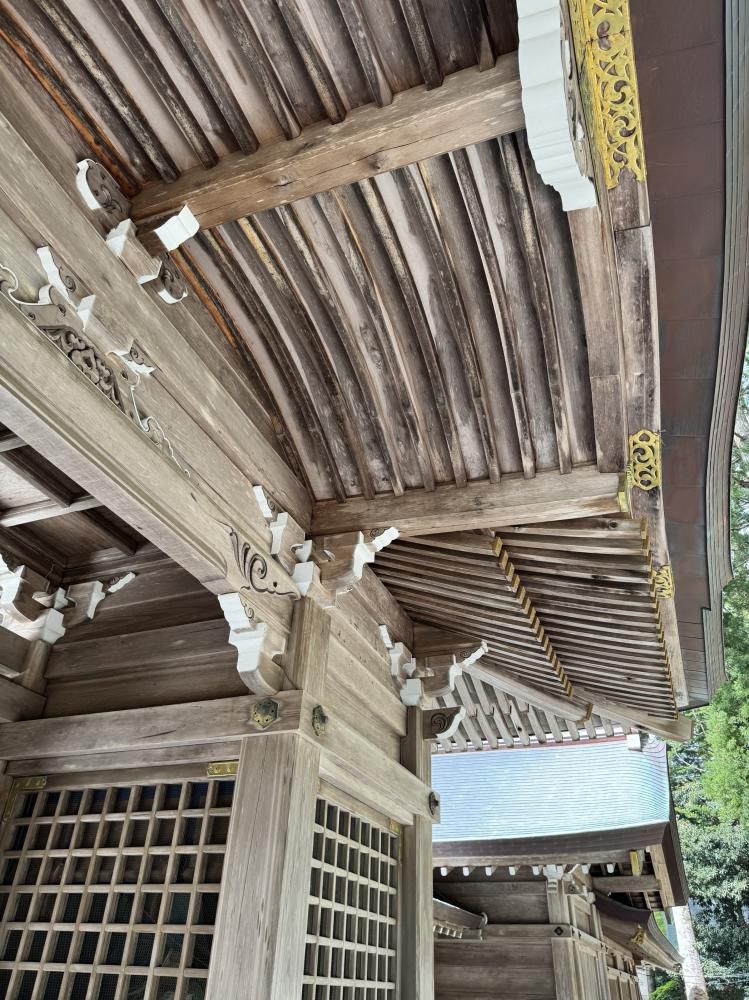 新潟の弥彦神社参拝