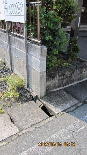 たぬき？！じゃない！！