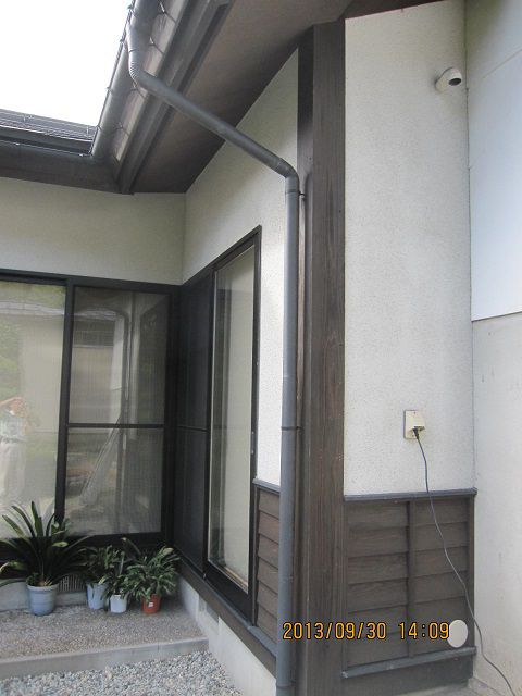 天井裏にハクビシン？！