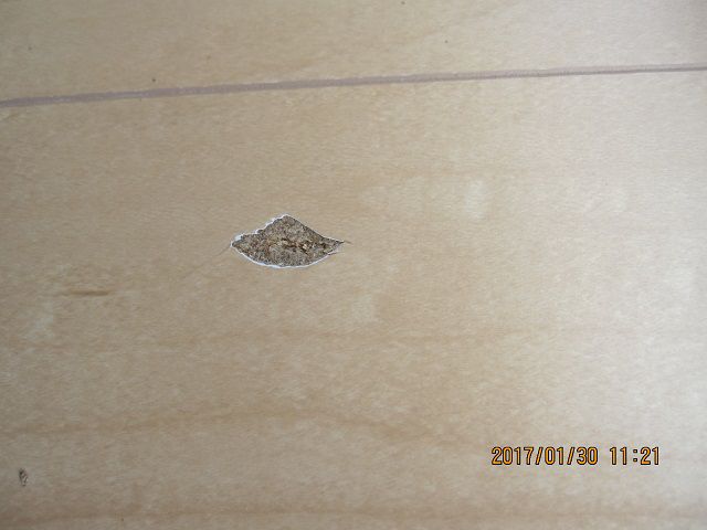 床フローリング傷の対処方法
