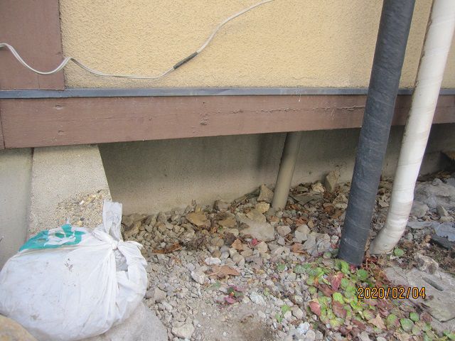 ハクビシン対策