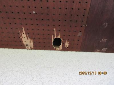 軒天板交換工事