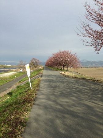 まだまだこれから！