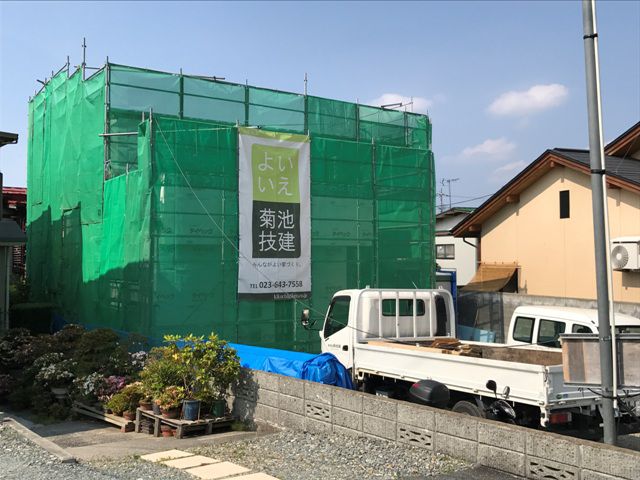躯体検査