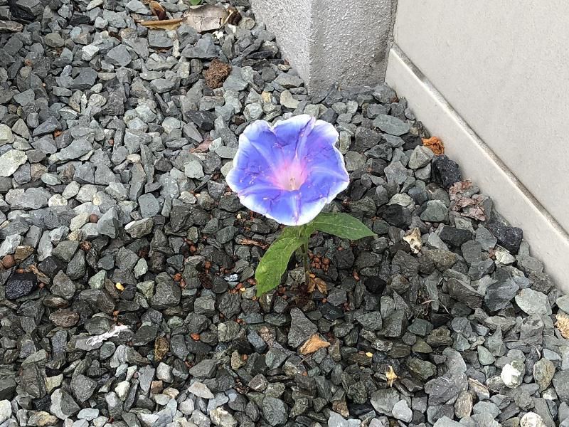 一年の折り返し