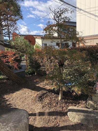庭の植栽