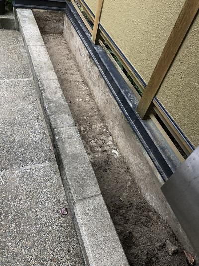 庭木の冬支度…の前に