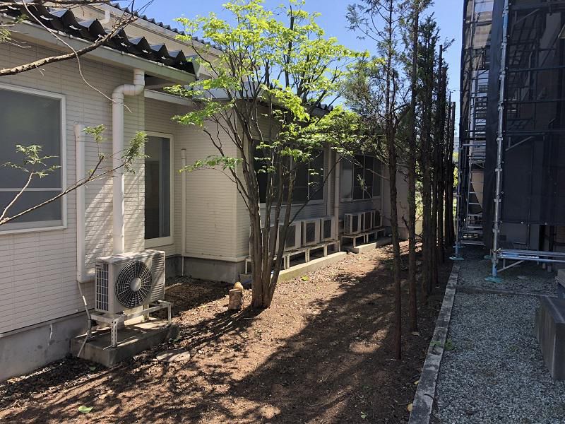 剪定作業その2