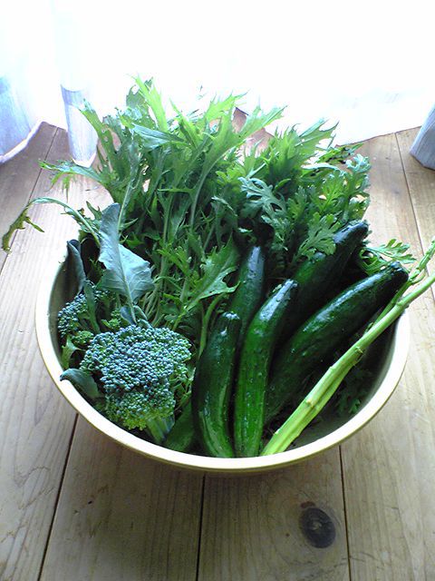 夏野菜たち(^O^)