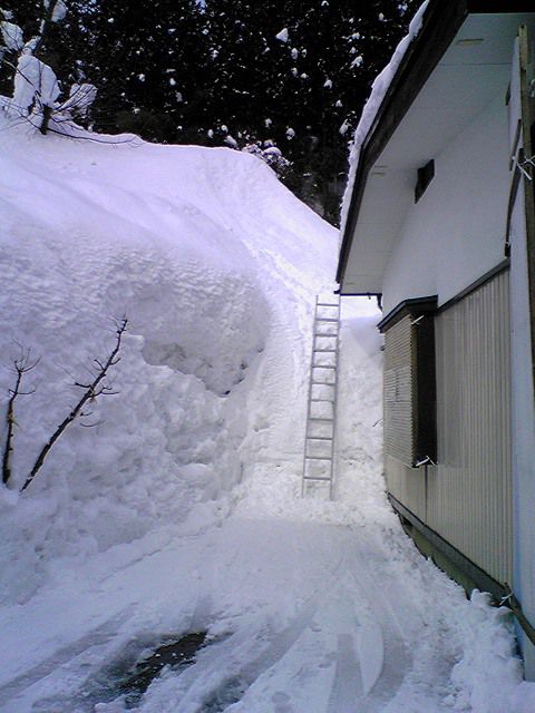 雪・雪・雪