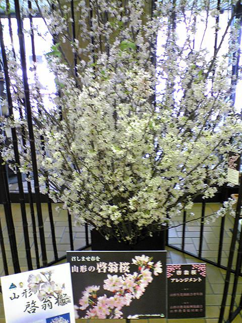 春が待ち遠しいですね！