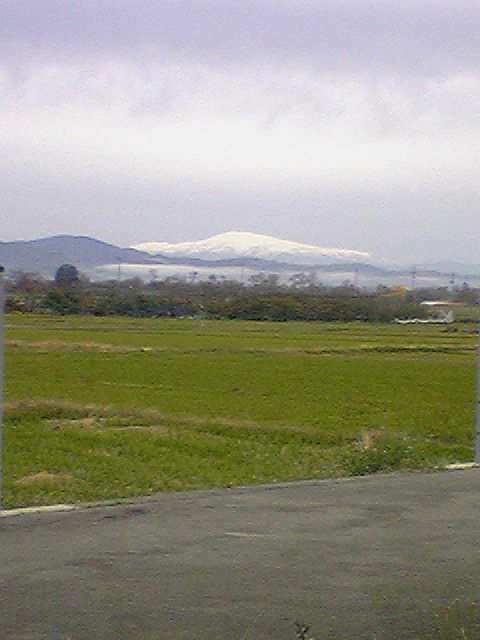 生まれ変わった我が家・・・からの～
