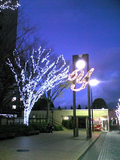 ☆☆今年もこの季節がやって参りました☆☆