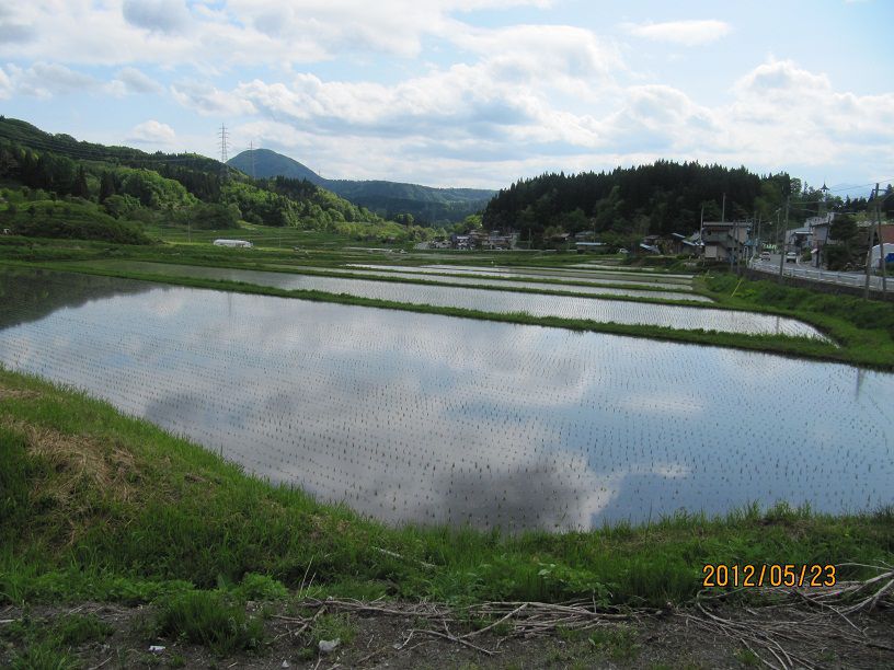 【棚田の田植え】