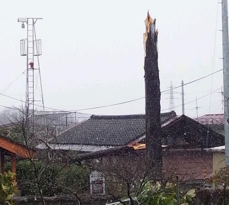 神保です。