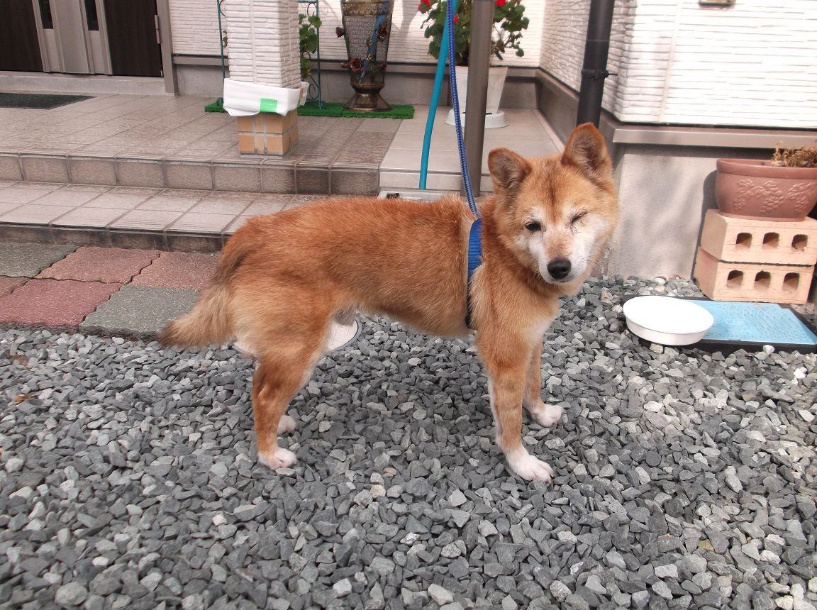 工務部の水戸です。
