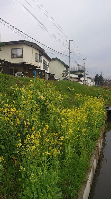 大工の渋谷(俊)です。