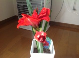 工務部の水戸です。