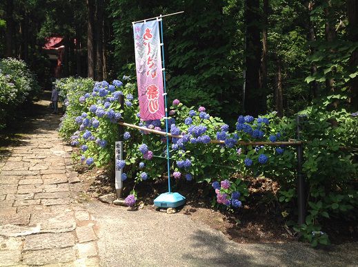 工務部の水戸です。