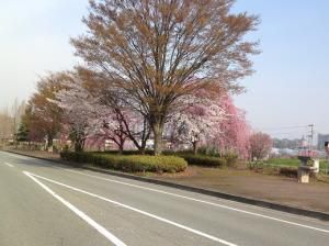 工務部の水戸です。