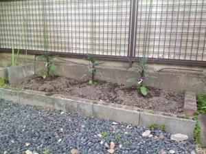 工務部の水戸です。