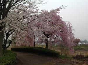 工務部の水戸です。
