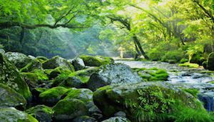 ～快適な暮らしのために～