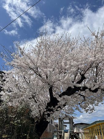 ～軒天補修～