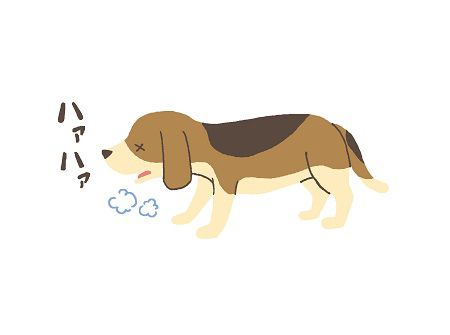 【間取りの工夫2】温度変化に気を付けましょう！