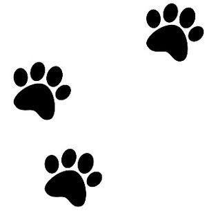 【内装1】床って何を選んだらいいの？