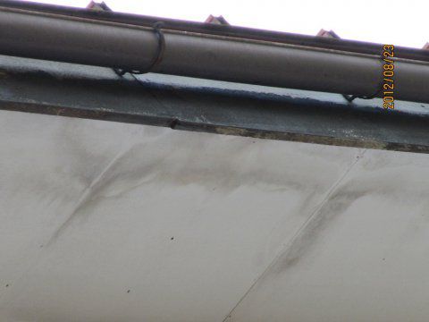 【レポート】　季節に合わせたメンテナンス（夏から秋・冬へ）