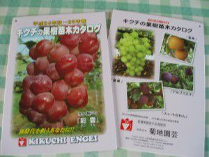 ご無沙汰しました　(_
