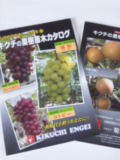 新カタログ出来ました