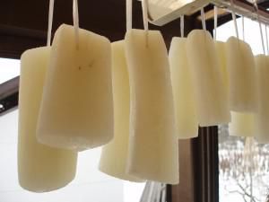 大寒も過ぎ間もなく葡萄接木が始まります