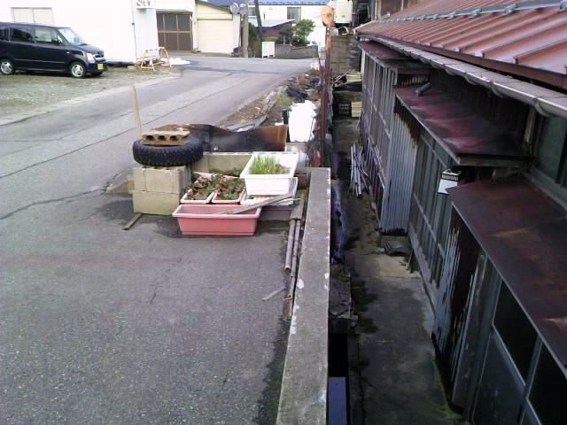 道路わき③-①