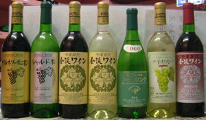 祝3000件