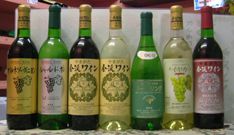 金渓ワイン・試飲販売会の訂正