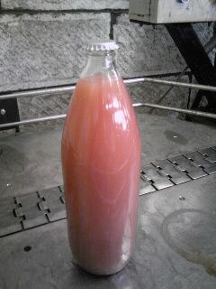 デラウェアＭＣ発酵