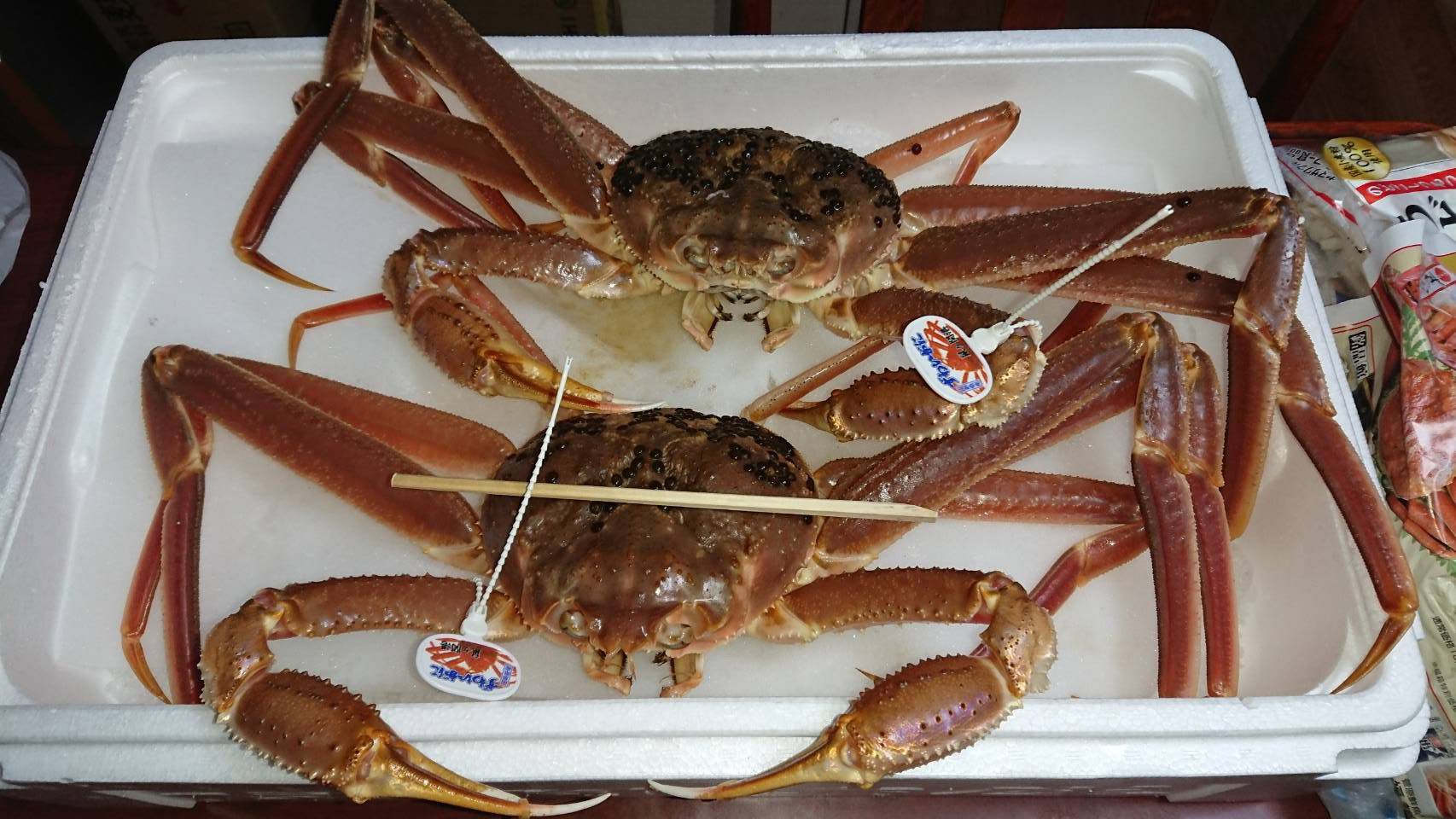 季節の食材！2023年冬シーズンご来店 お待ちしております。