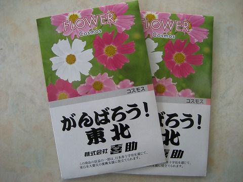 種をまいてみませんか？