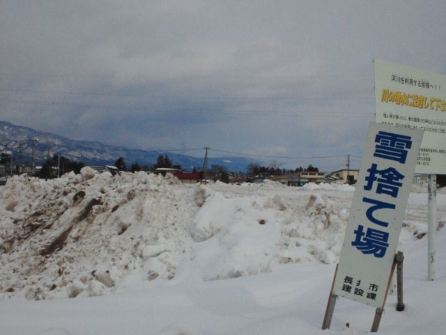 『今週の土曜日』