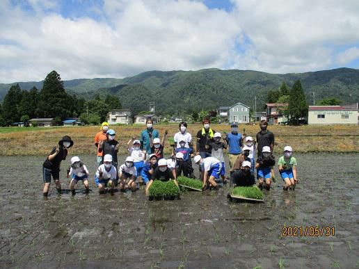 青空の元、5年生の田植えが行われました！
