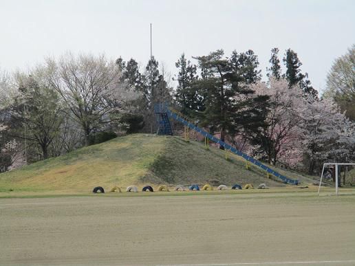 自然の中で育まれ・・・
