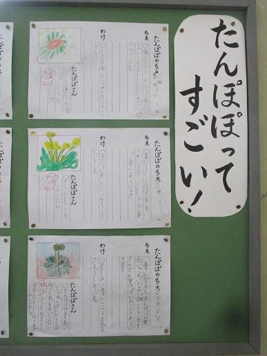 磨いています、心も脳みそも！