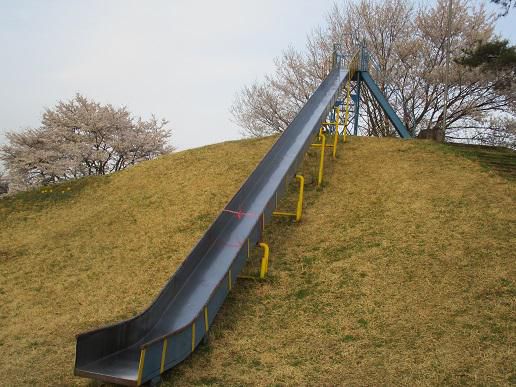 午前中のショック・・・