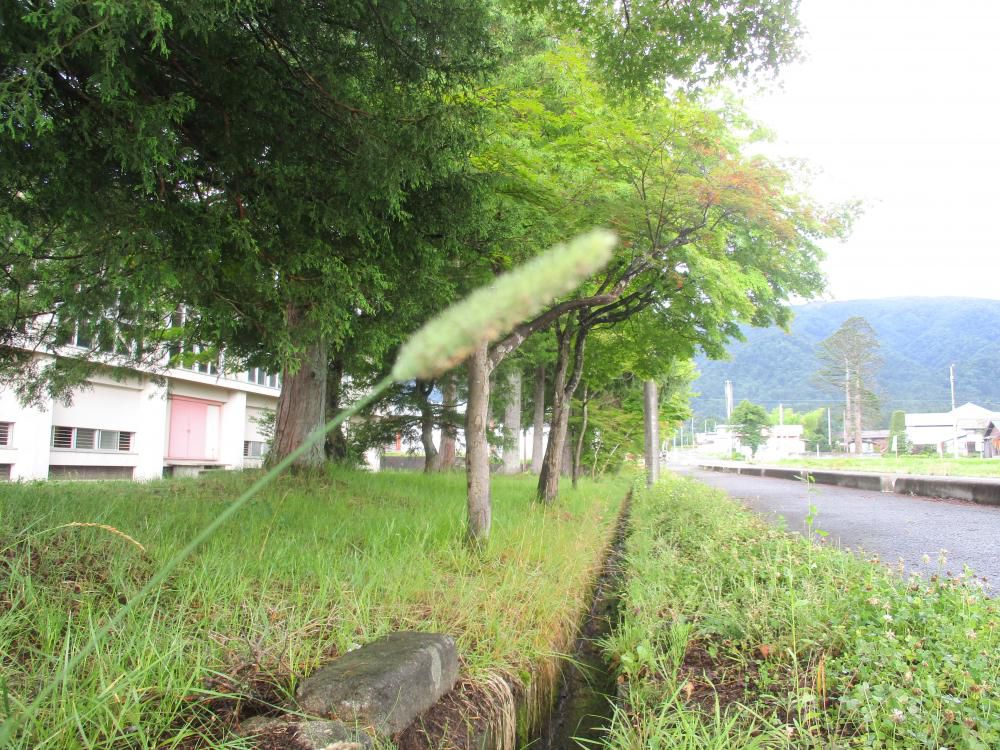 1学期ラストスパートのぎゅーっ！その２