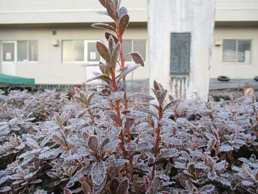 「研ぐ」の現在進行形　「研いでリング」さまざま