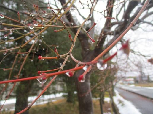 意志あるところに・・・道は拓けるし、福来たる