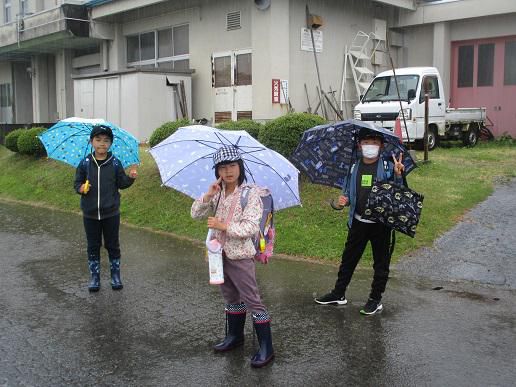 久しぶりの雨